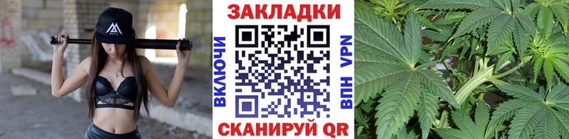 Купить закладку Солнечногорск Гашиш Вейп ТГК Меф мяу мяу Галлюциногенные грибы Бошки Шишки Кокаин