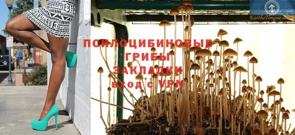 твердый Магас
