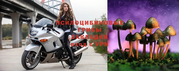 ALPHA PVP Алексин