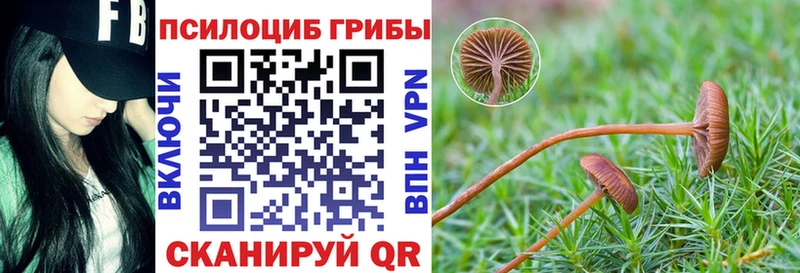 Псилоцибиновые грибы мухоморы Солнечногорск
